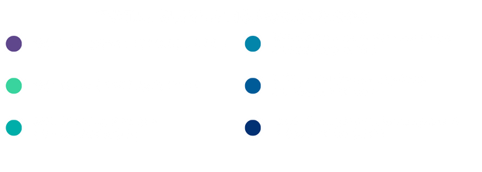 TOTAL SUPPLY 310.000.000.000 (1)